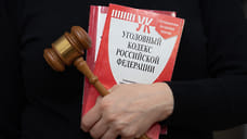Жительнице Башкирии, укусившей полицейского, вынесли приговор