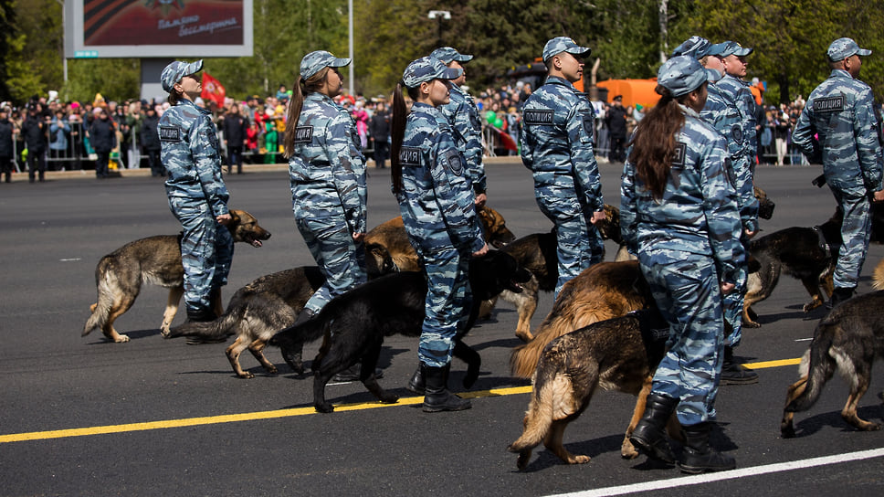 Служебные собаки