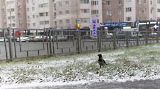 Первый уфимский