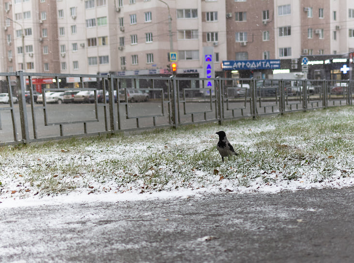Первый снег в Уфе