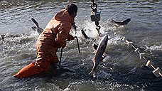 Науку побеждать