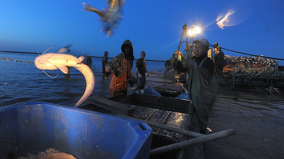 Рыбаки ждут от пограничных властей официального разрешения сдавать уловы на перерабатывающие суда