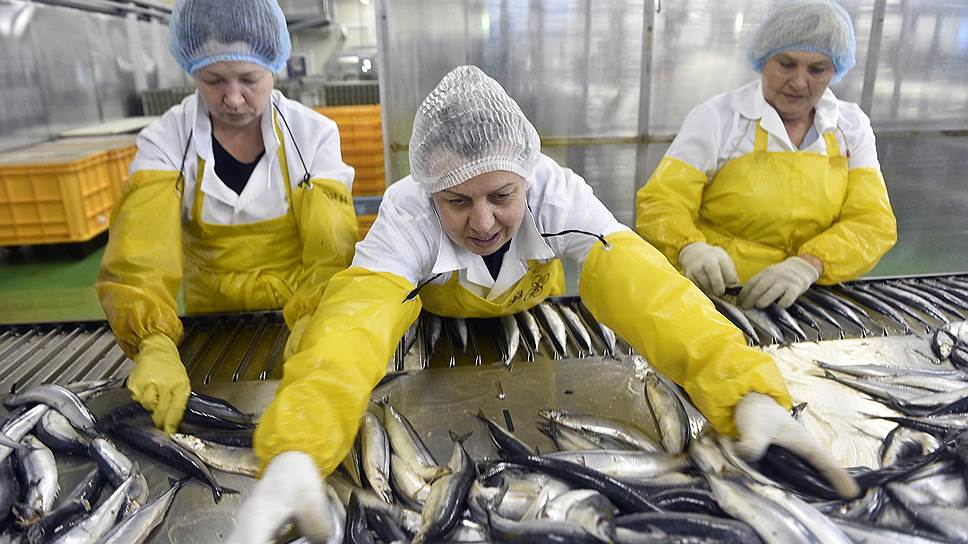 Разработчики проекта рыбоперерабатывающего комплекса в Приморье предлагают внедрять инновационные технологии