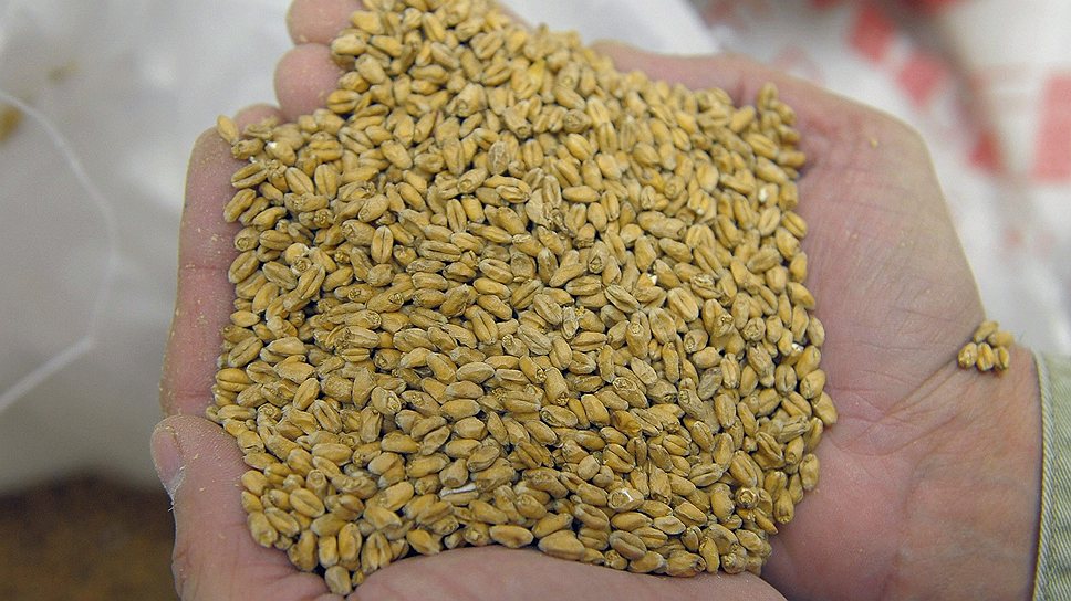 Производство солода для кондитерского или хлебного производств может спасти Курский пивоваренный завод, считают участники рынка