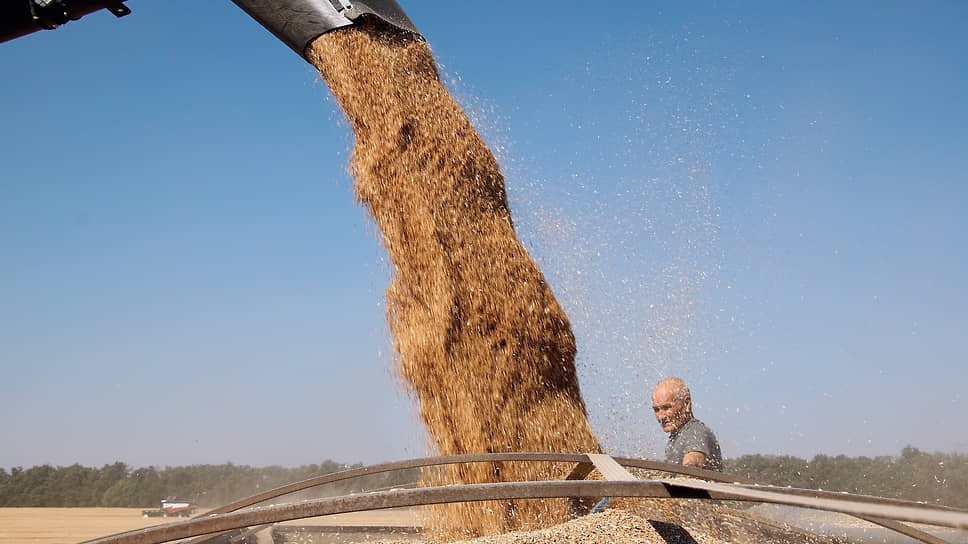 По мнению экспертов, потребление зерновых в краткосрочной перспективе в регионах продолжит расти