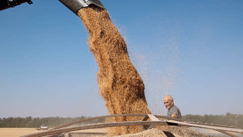 Зерно пошло на повышение // В Черноземье выросла переработка зерновых и масличных культур