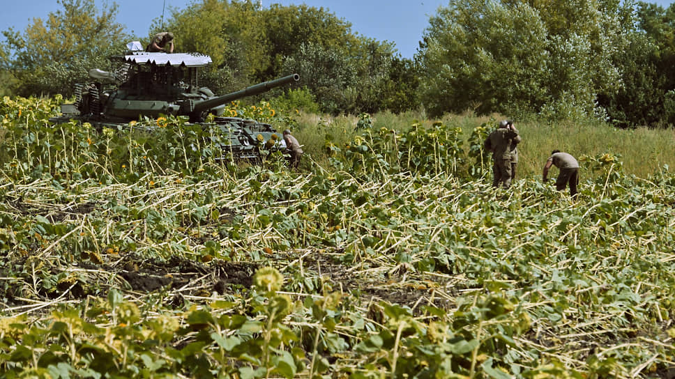 В этом году в Курской области нельзя будет собрать урожай на 160 тыс. га полей