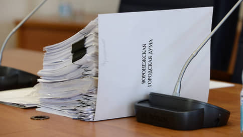 Депутаты в гомеостазе // На выборы в гордуму Воронежа пошли большинство действующих парламентариев