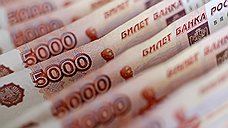 Капитальные затраты группы «Черкизово» в 2014 году составят 7,5 млрд рублей
