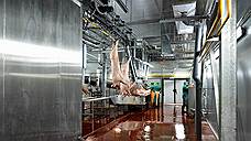 «Промагро» запустило в Белгородской области мясоперерабатывающий комплекс почти за 1,8 млрд рублей