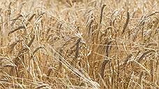 Аграрии Тамбовской области рассчитывают собрать порядка 3,7 млн тонн зерна и 5 млн тонн свеклы