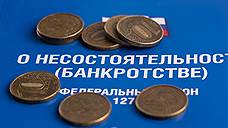 Банкротство управляющей Воронежским стеклотарным заводом «РАСКО» дошло до Верховного суда