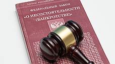 Кредиторы потребовали признать банкротом воронежского застройщика «Вудвилль»