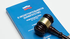 «Алексеевский комбинат стройматериалов» попытаются продать с дисконтом