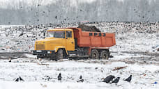 Ликвидация незаконных свалок в Курской области обойдется бюджету в 3 млрд рублей