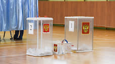 Жители Воронежа пока самые неактивные избиратели в регионе