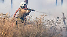За сутки в Белгородской области ликвидировали 28 ландшафтных пожаров