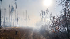 В Воронежской области локализовали два из трех крупных природных пожаров