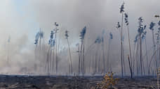 «Авиалесоохрана» не прогнозирует повышенной пожарной опасности в лесах Черноземья в октябре
