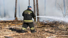 Два крупных пожара из трех в Воронежской области ликвидировано