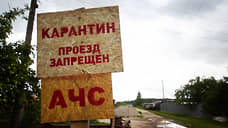В Воронежской области выявили новые очаги АЧС