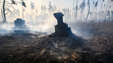 Ущерб от липецких пожаров оценен в 247 млн рублей