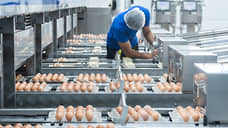 Белгородский производитель яиц агрофирма «Русь» увеличил финпоказатели
