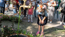 Воронежские власти ищут подрядчика для разработки концепции фестиваля «Город-сад»
