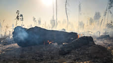 Ликвидирован крупный пожар в пригороде Воронежа
