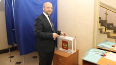 В Воронежской области в первый день на выборах проголосовало более 20% избирателей