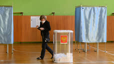 Более 10 тыс. голосов воронежским единороссам принесли избиратели за пределами РФ