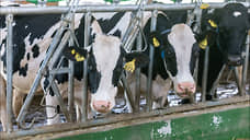В Орловской области производство молока снизилось до наименьшего за пять лет