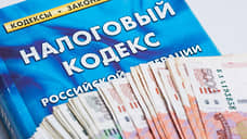 Липецкие следователи возбудили дело о неуплате 99 млн рублей налогов местной фирмой