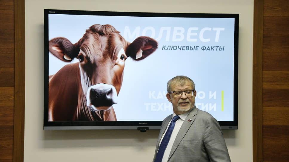 Аркадий Пономарев заявил, что проект планируется реализовать за 2–2,5 года