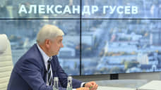 Гусев сравнил конфликты на выборах в Воронежской области с «голой вечеринкой»