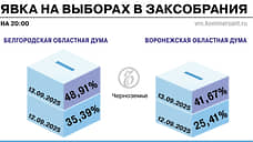 Избиркомы сообщили о явке в Белгородской и Воронежской областях по итогам второго дня выборов