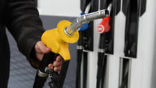 В Тамбовской области замедлился рост цен на топливо