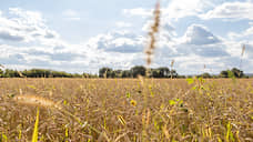 Воронежские аграрии привлекли 58 млрд рублей льготных кредитов