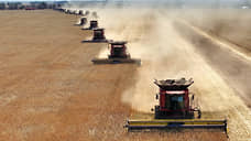 В Тамбовской области собрали 5 млн т зерна