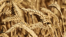 Тамбовская, Воронежская и Липецкая область вошли в десятку по агрострахованию