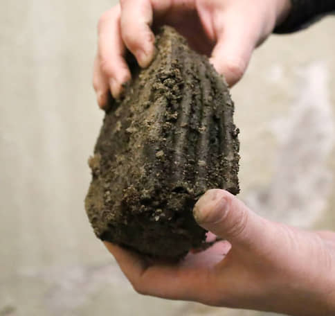 В Белгородской области рыбак случайно нашел скелет доисторического шерстистого носорога