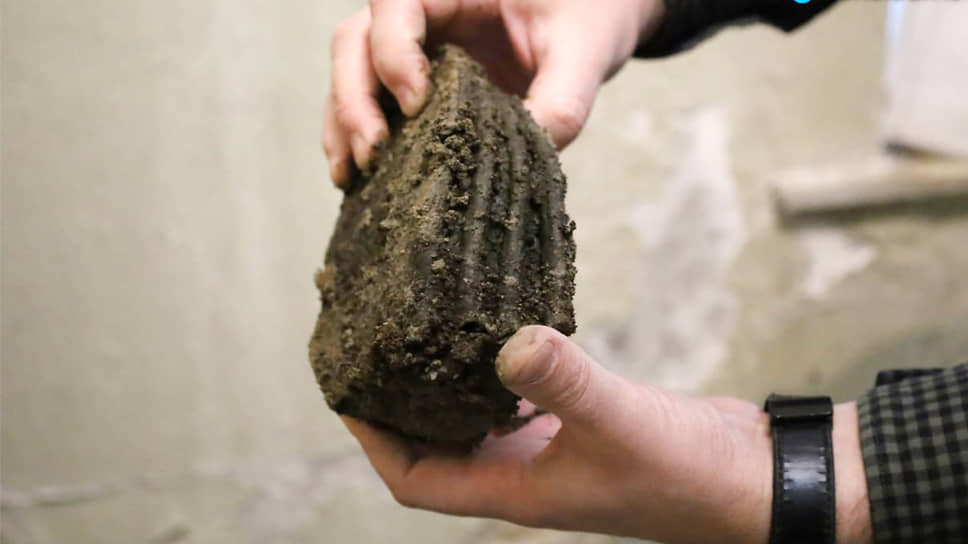 Палеонтологическая сенсация: житель Нагольного Старооскольского округа нашел останки шерстистого носорога