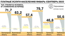 Рынок платных услуг в Черноземье вырос на 4,3% за три квартала 2025 года