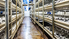 «Грибы Белогорья» снова попытаются продать за 180,5 млн рублей