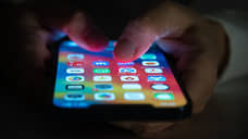 В Воронежской области задержан подозреваемый в незаконном обороте учетных данных