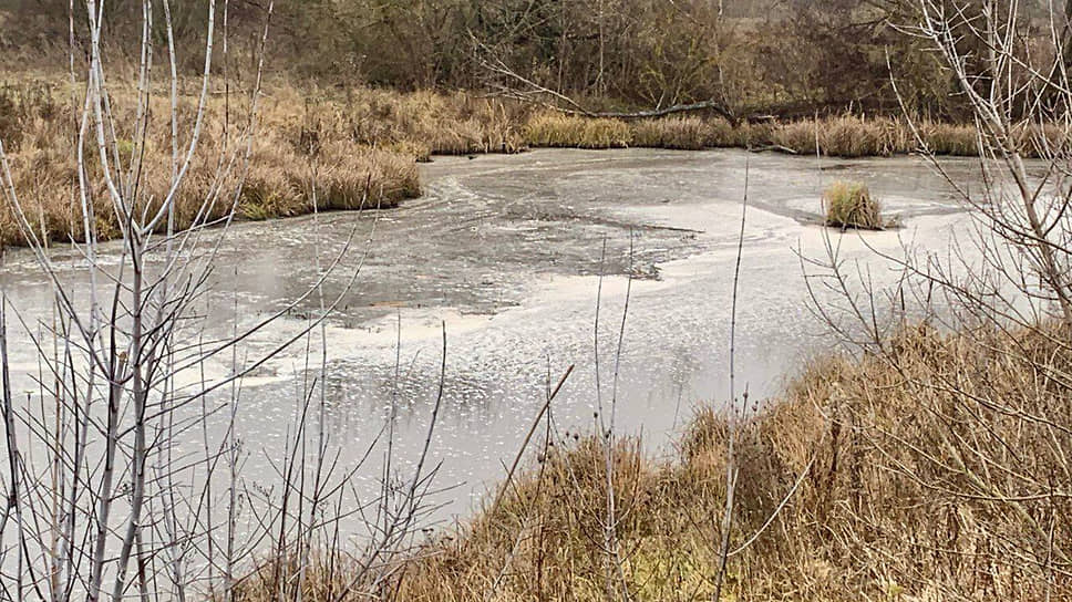 Загрязненный стоками приток реки Сейм во Льговском районе Курской области
