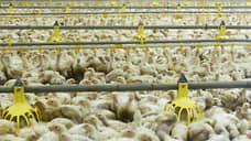 Белгородский актив ГАП «Ресурс» получил очередной иск от контрагента