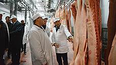 Гендиректор Национального союза свиноводов посетил АПК «ПРОМАГРО»