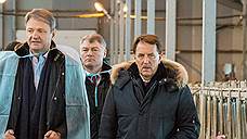 Стратегия на опережение