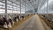 Мясо с овощами